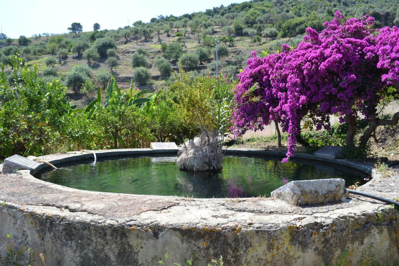 Villa Palamara 1868-Toweronthesea سانت أمبروجيو المظهر الخارجي الصورة