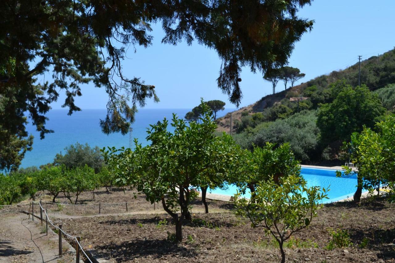 Villa Palamara 1868-Toweronthesea سانت أمبروجيو المظهر الخارجي الصورة